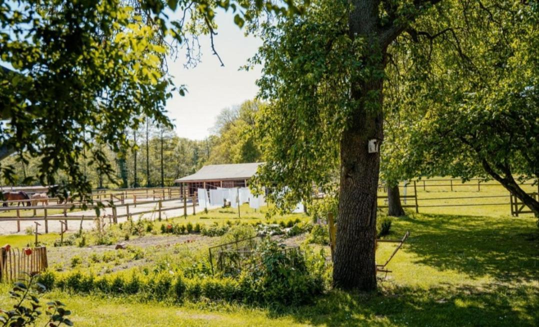 Ferienhof Trapp Ellringen Zewnętrze zdjęcie